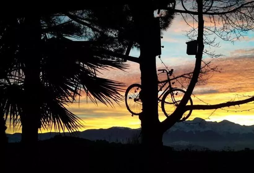 B&b L Albero Di Antonia