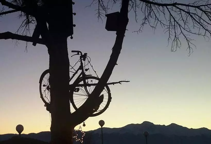 B&b L Albero Di Antonia