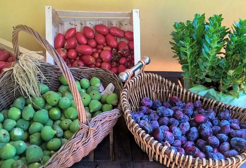 B&b Villa C Era Una Volta