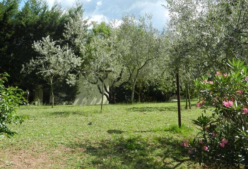 مبيت وإفطار La Cancellata Di Mezzo