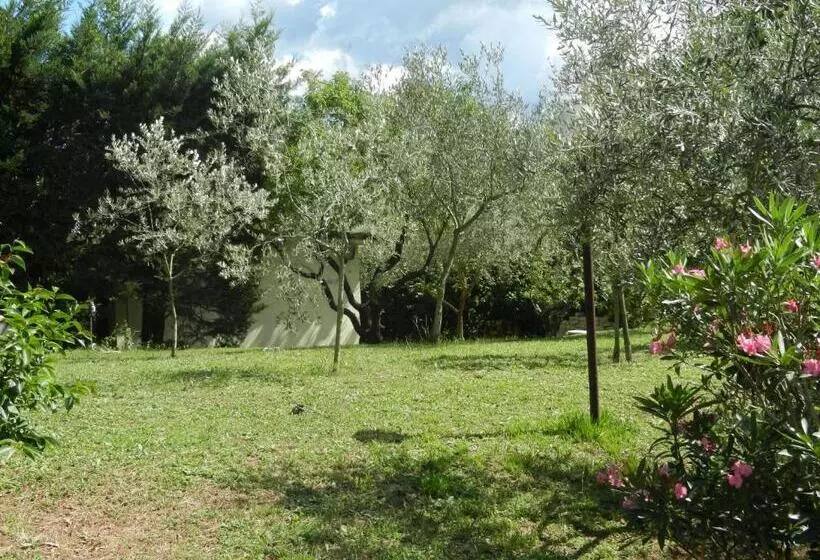 Aamiaismajoitus (B&B) La Cancellata Di Mezzo