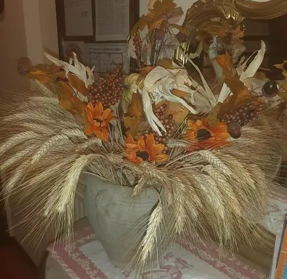 Aamiaismajoitus (B&B) La Cancellata Di Mezzo