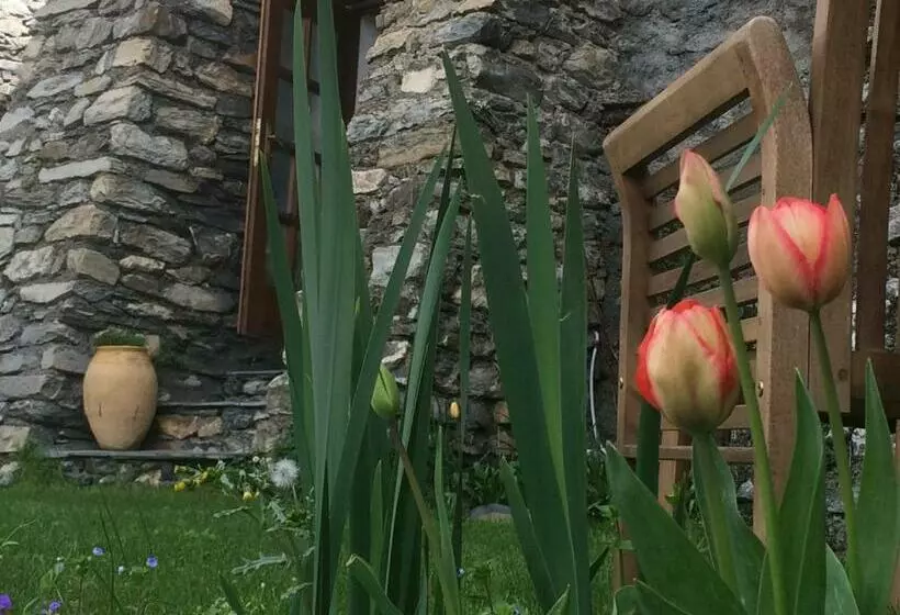 ベッドアンドブレックファースト La Stregatta