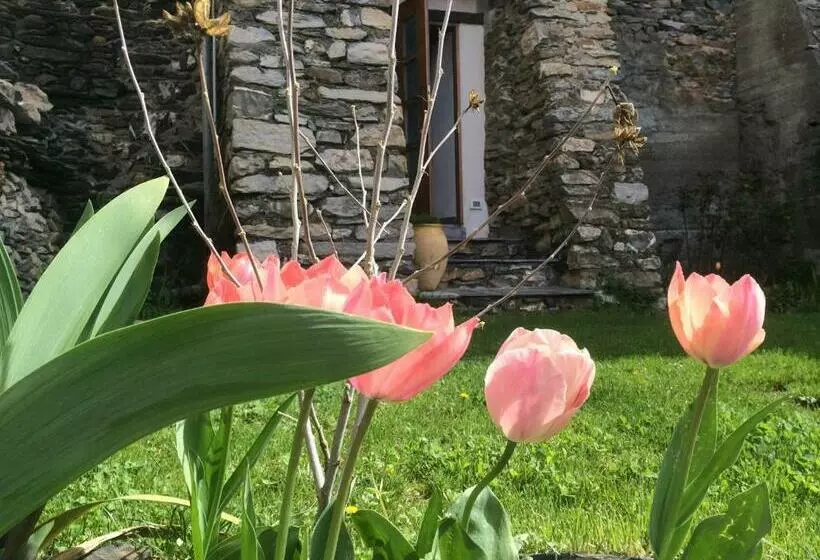 ベッドアンドブレックファースト La Stregatta