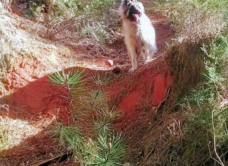 مبيت وإفطار Les Granges