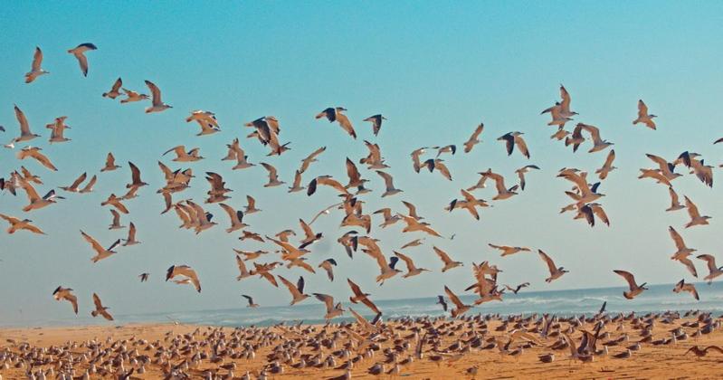 צימר Les Hébergements Nature Et Bien être