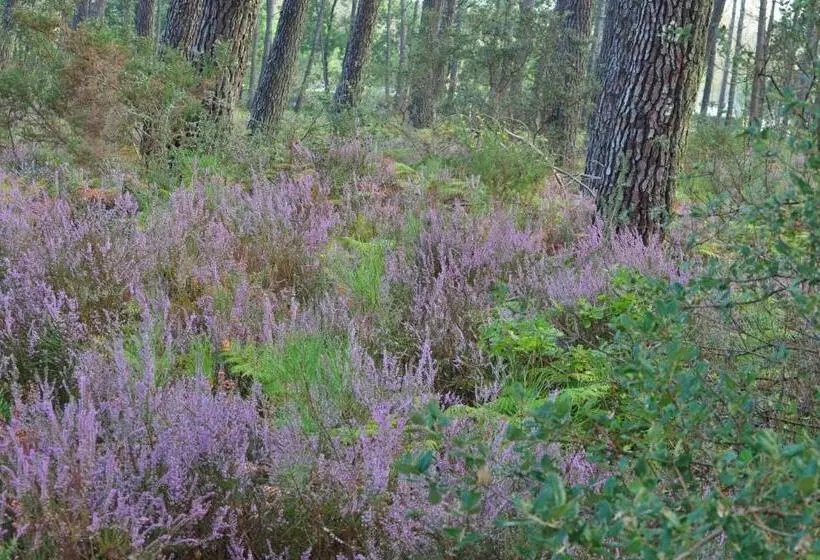 ベッドアンドブレックファースト Les Hébergements Nature Et Bien être