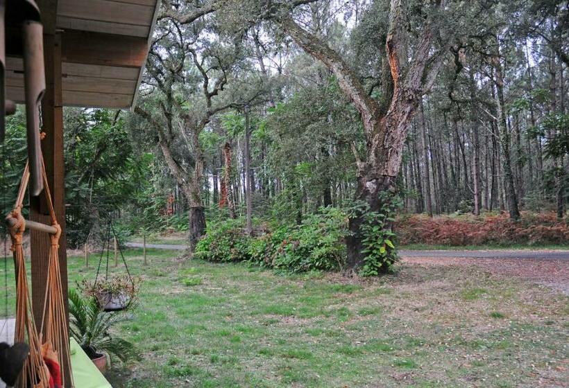 צימר Les Hébergements Nature Et Bien être