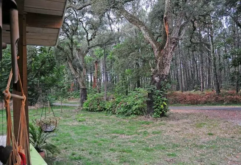 ベッドアンドブレックファースト Les Hébergements Nature Et Bien être