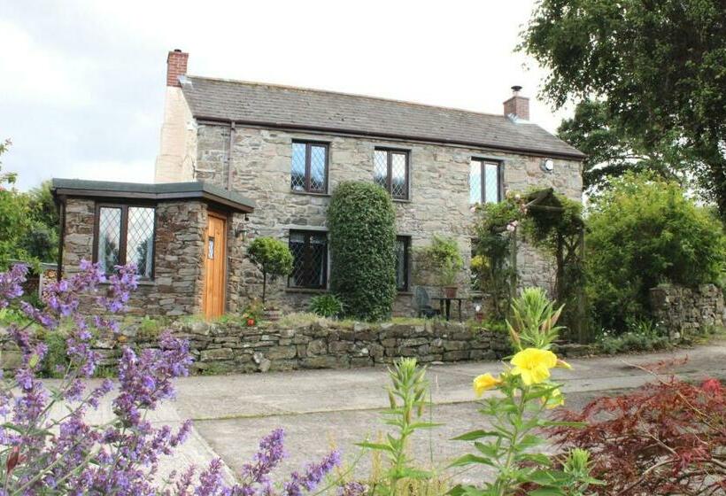 住宿加早餐  Mellowvean