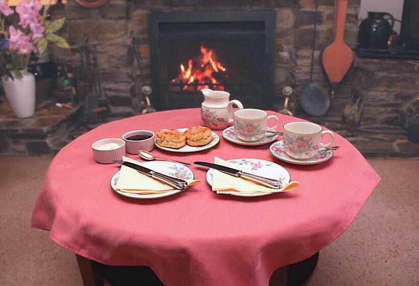 住宿加早餐  Mellowvean