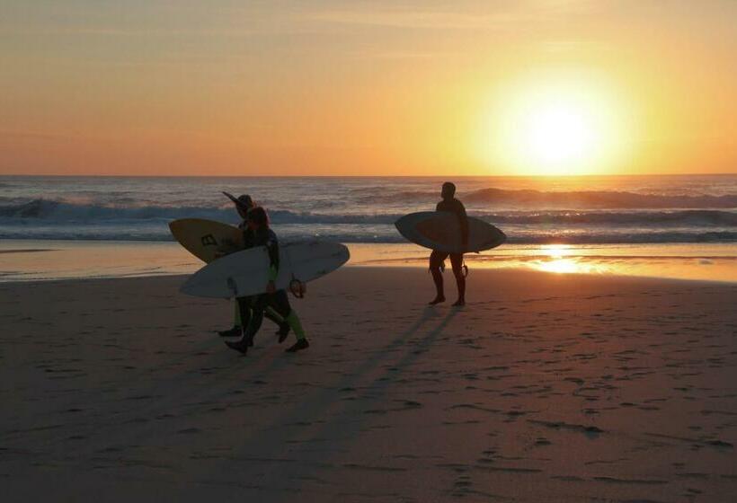 住宿加早餐  Mellowvean