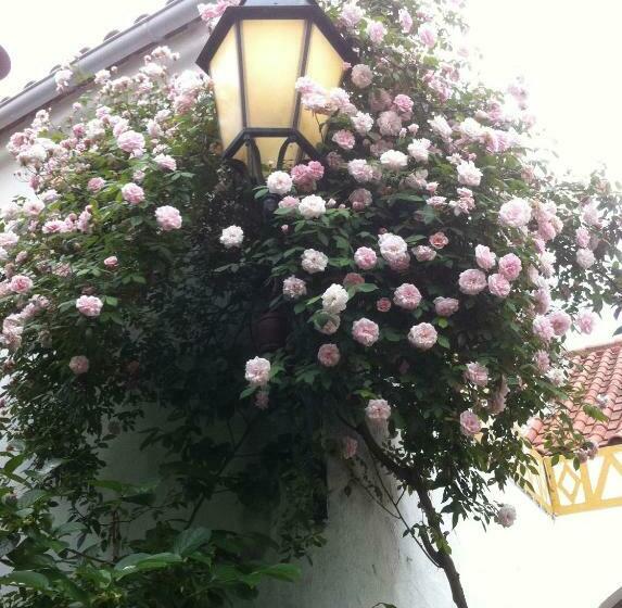 住宿加早餐  Patio Das Flores