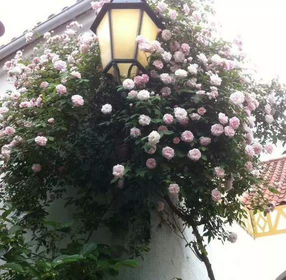 ベッドアンドブレックファースト Patio Das Flores