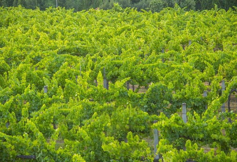 هتل Quinta Das Secas