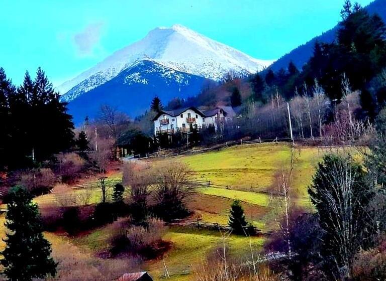 پانسیون Alpina Panoramic