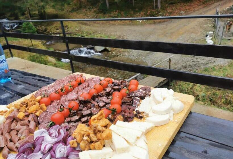 پانسیون Alpina Panoramic