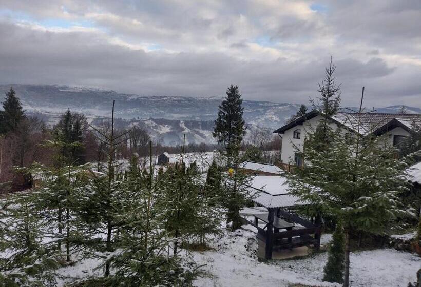 پانسیون Alpina Panoramic