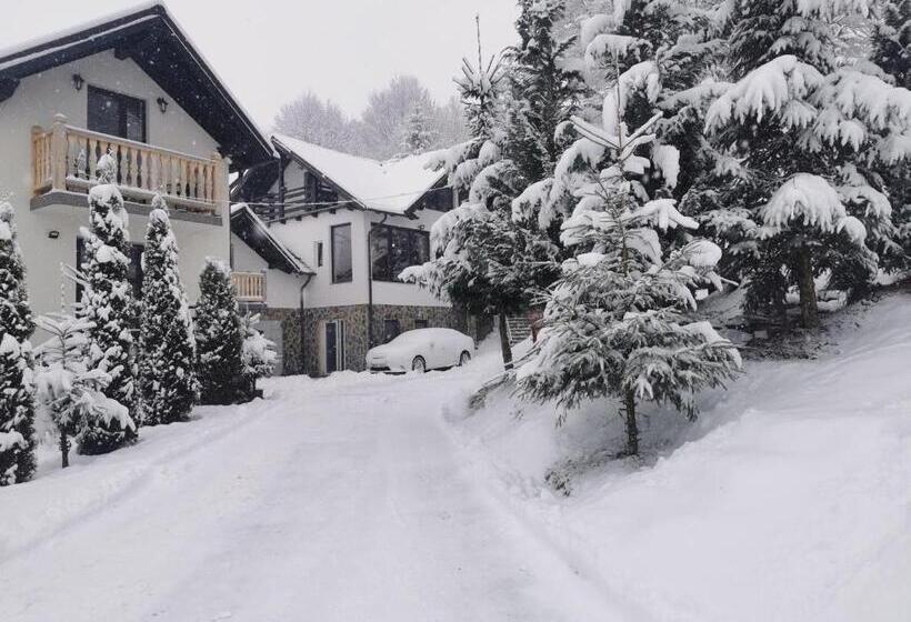 پانسیون Alpina Panoramic