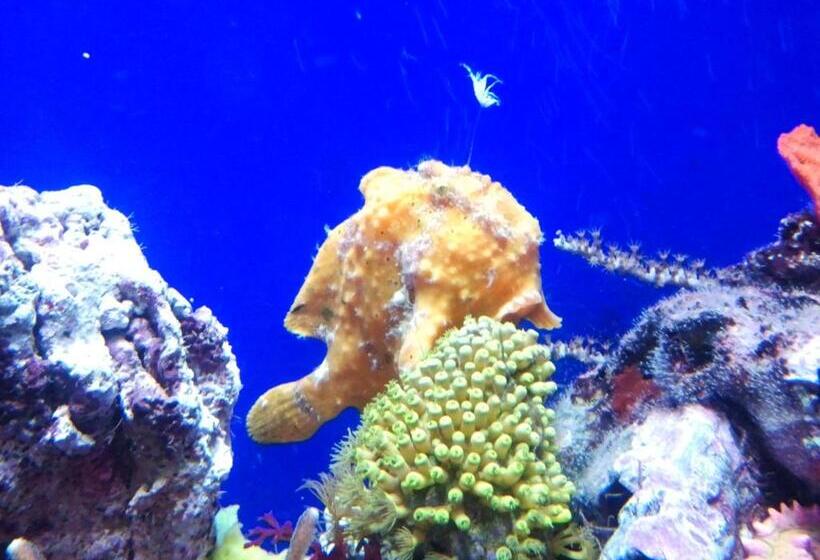 پانسیون Casa Mama Guesthouse