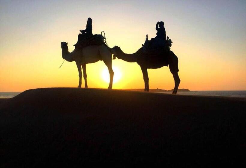 بنسيون Golden Baibah