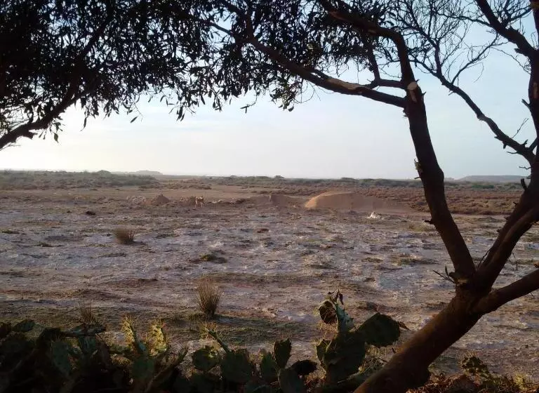 Majatalo Golden Baibah