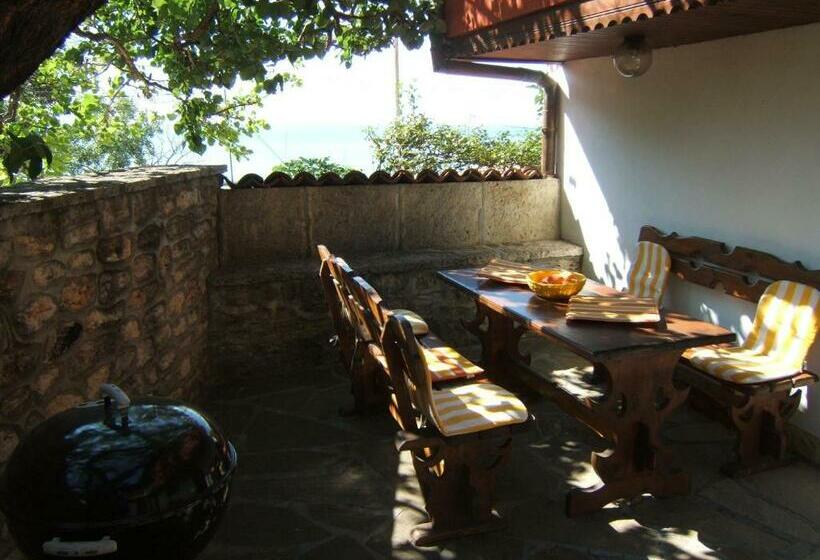 פנסיון Regina S Guesthouse