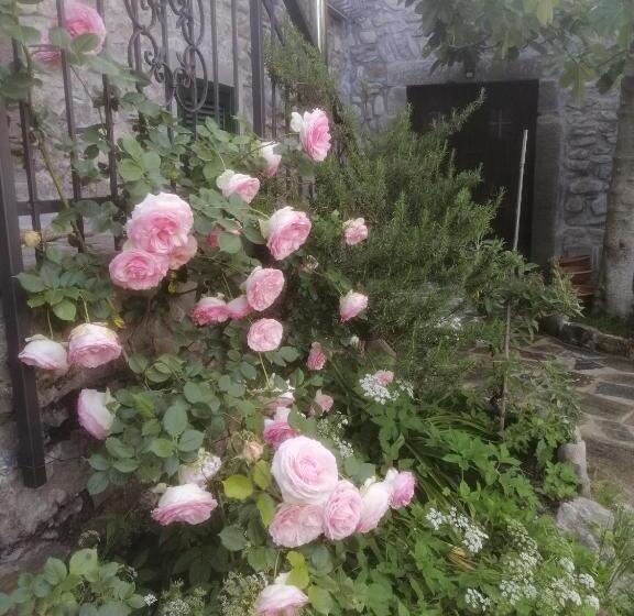 B&b Alle Ortensie Blu