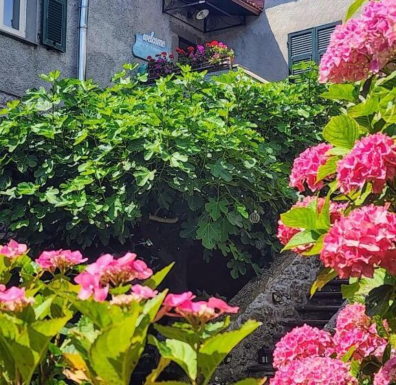 B&b Alle Ortensie Blu