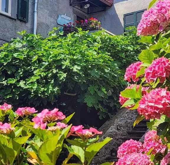 B&b Alle Ortensie Blu