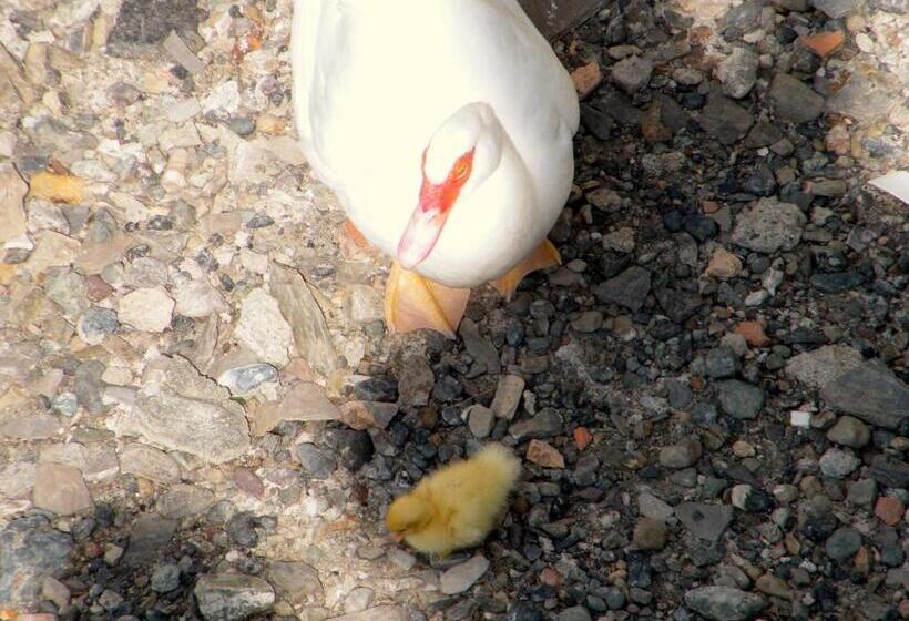 B&b Alle Ortensie Blu