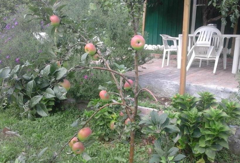 B&b Alle Ortensie Blu