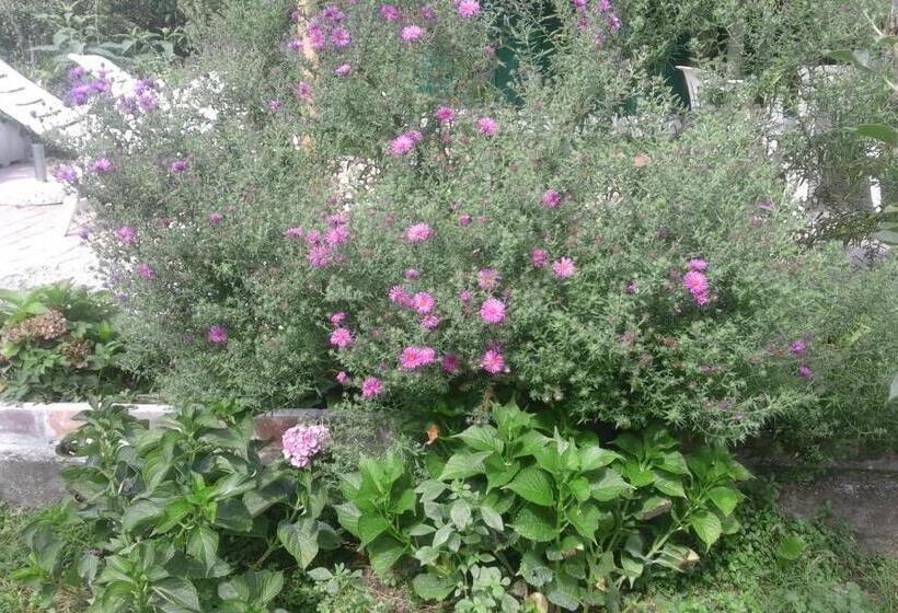 B&b Alle Ortensie Blu