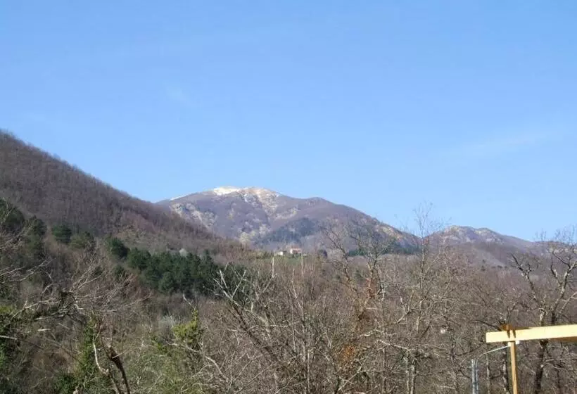 B&b Alle Ortensie Blu