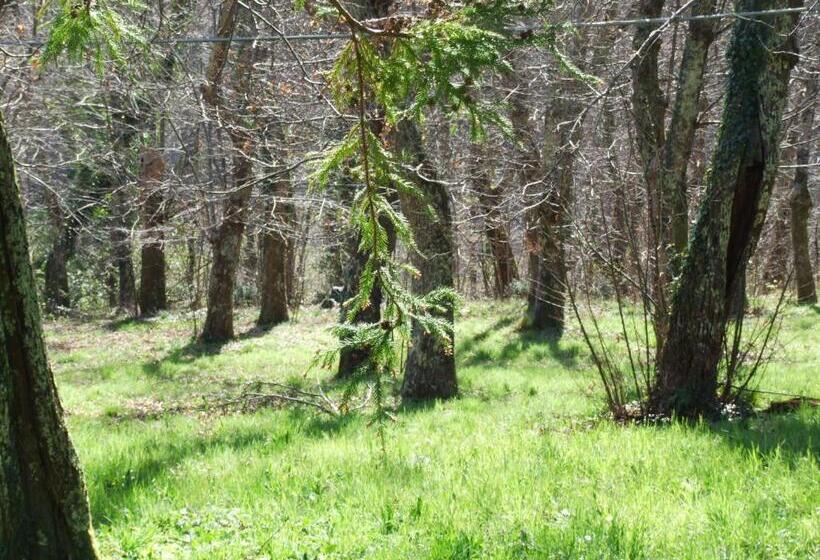 B&b Alle Ortensie Blu