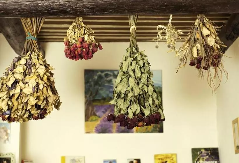 Aamiaismajoitus (B&B) Gite Fa Mille Maison Bleu