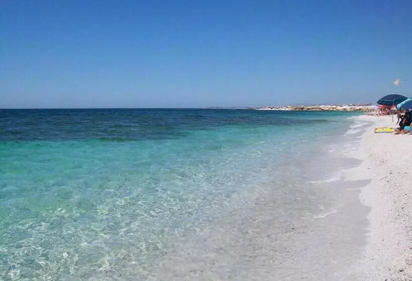 ベッドアンドブレックファースト Il Nuraghe