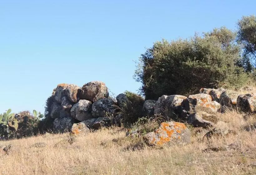 ベッドアンドブレックファースト Il Nuraghe