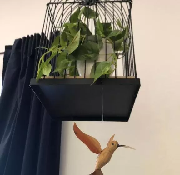 Aamiaismajoitus (B&B) Montjoia