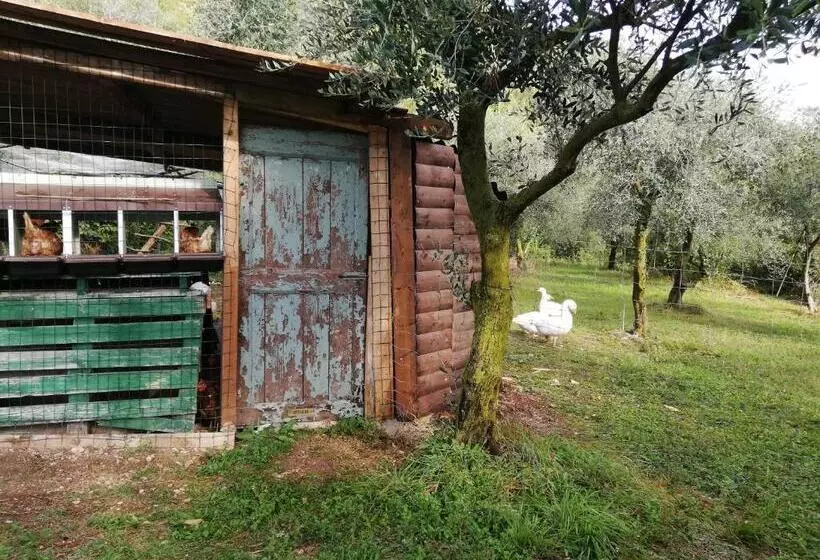 ホテル Agriturismo Conte Brunello