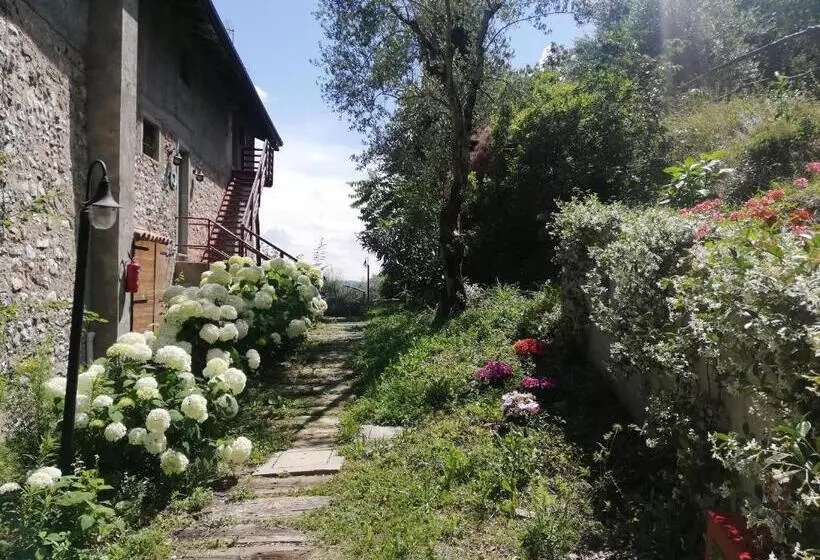 ホテル Agriturismo Conte Brunello