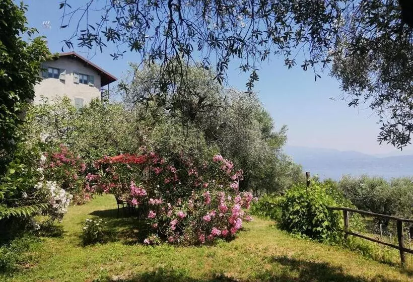 ホテル Agriturismo Conte Brunello