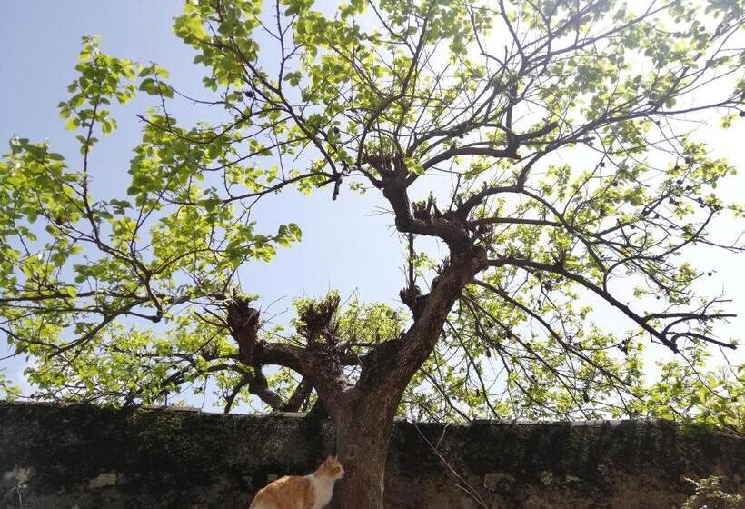 酒店 Agriturismo Conte Brunello