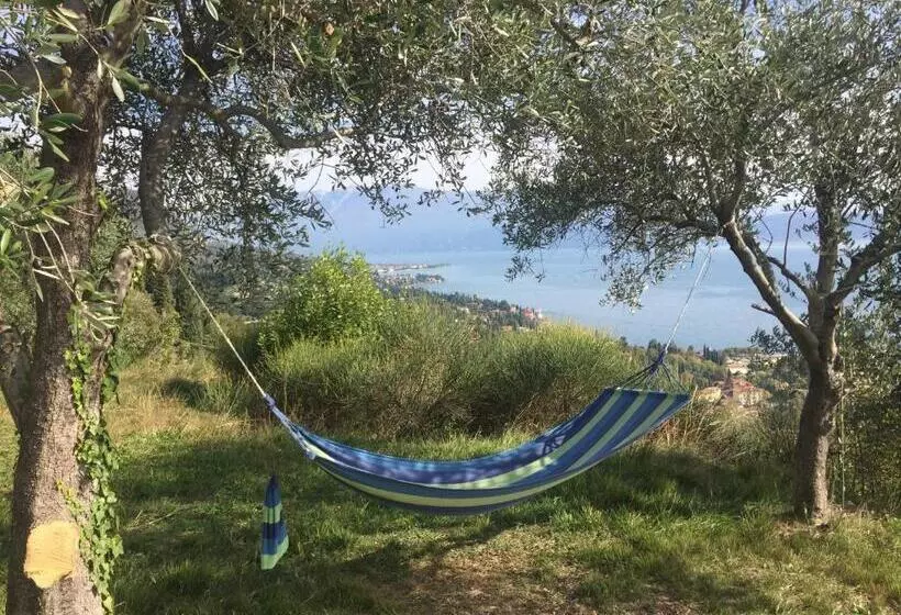 ホテル Agriturismo Conte Brunello