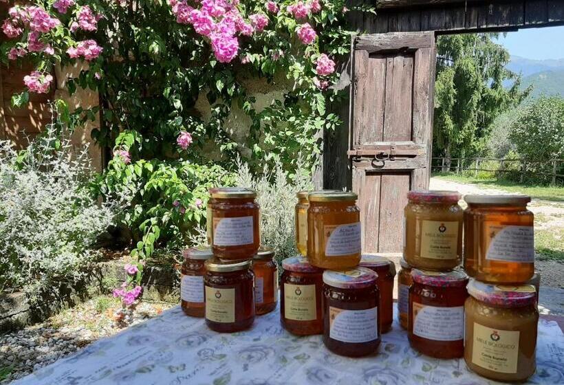 酒店 Agriturismo Conte Brunello