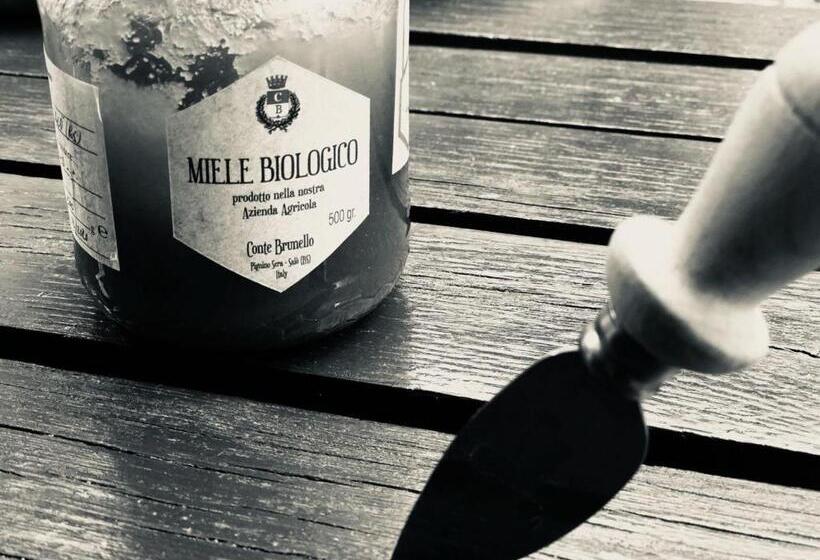 酒店 Agriturismo Conte Brunello