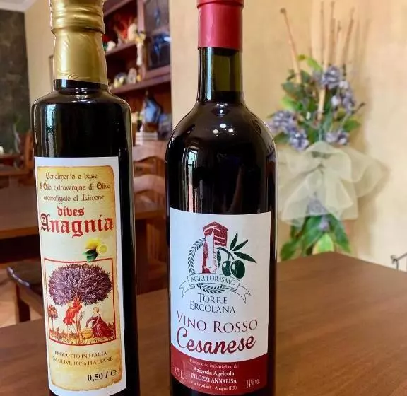 هتل Agriturismo Torre Ercolana
