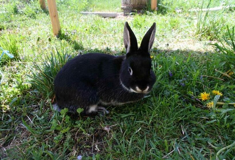 בית מלון כפרי Biohof Teufel