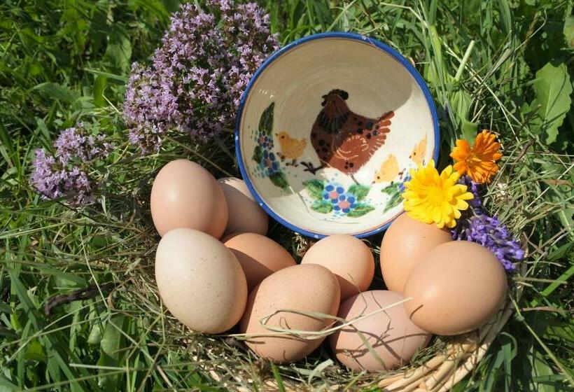 בית מלון כפרי Biohof Teufel