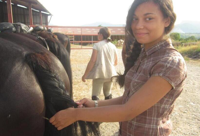 ホテル La Bardelière